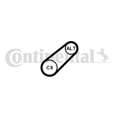 Curea transmisie cu caneluri CONTINENTAL CTAM 6PK799 ELAST