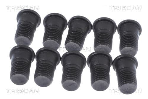 Surub, disc frana TRISCAN 8105 11666