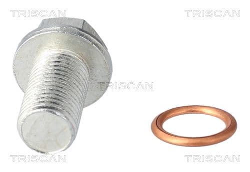 surub de golire,baia de ulei TRISCAN 9500 1025