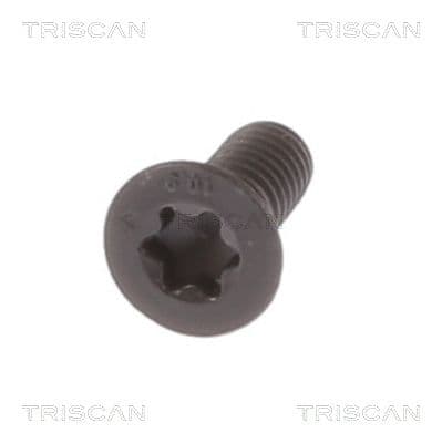 Surub, disc frana TRISCAN 8105 11667