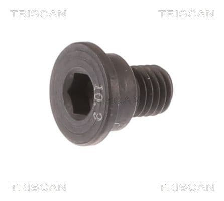 Surub, disc frana TRISCAN 8105 11662
