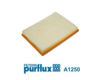 Filtru aer PURFLUX A1250