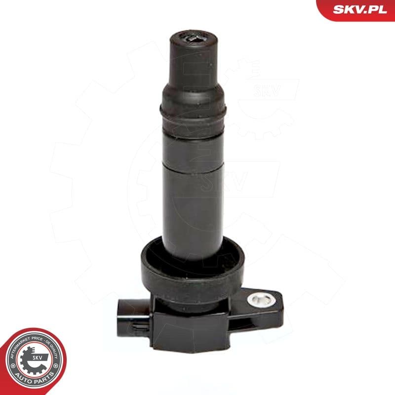 bobina de inductie ESEN SKV 03SKV202