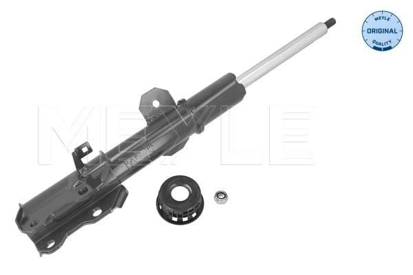 amortizor MEYLE 026 623 0031
