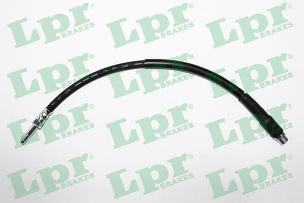 Furtun frana LPR 6T48598