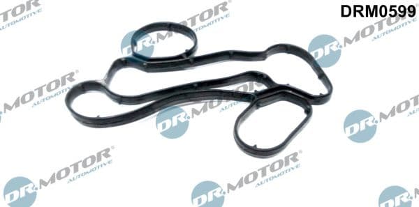 Garnituri, carcasa filtru ulei Dr.Motor Automotive DRM0599