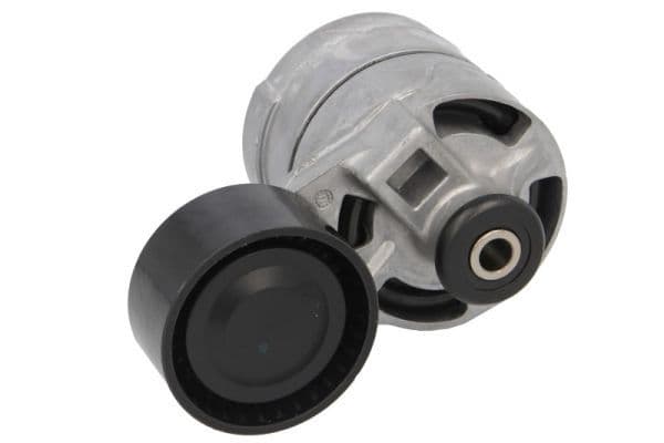 rola intinzator,curea transmisie BTA E2G0020BTA