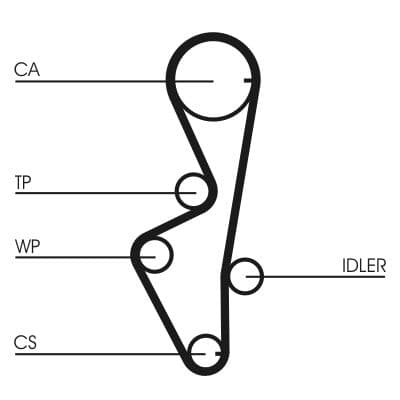 Curea de distributie CONTINENTAL CTAM CT916