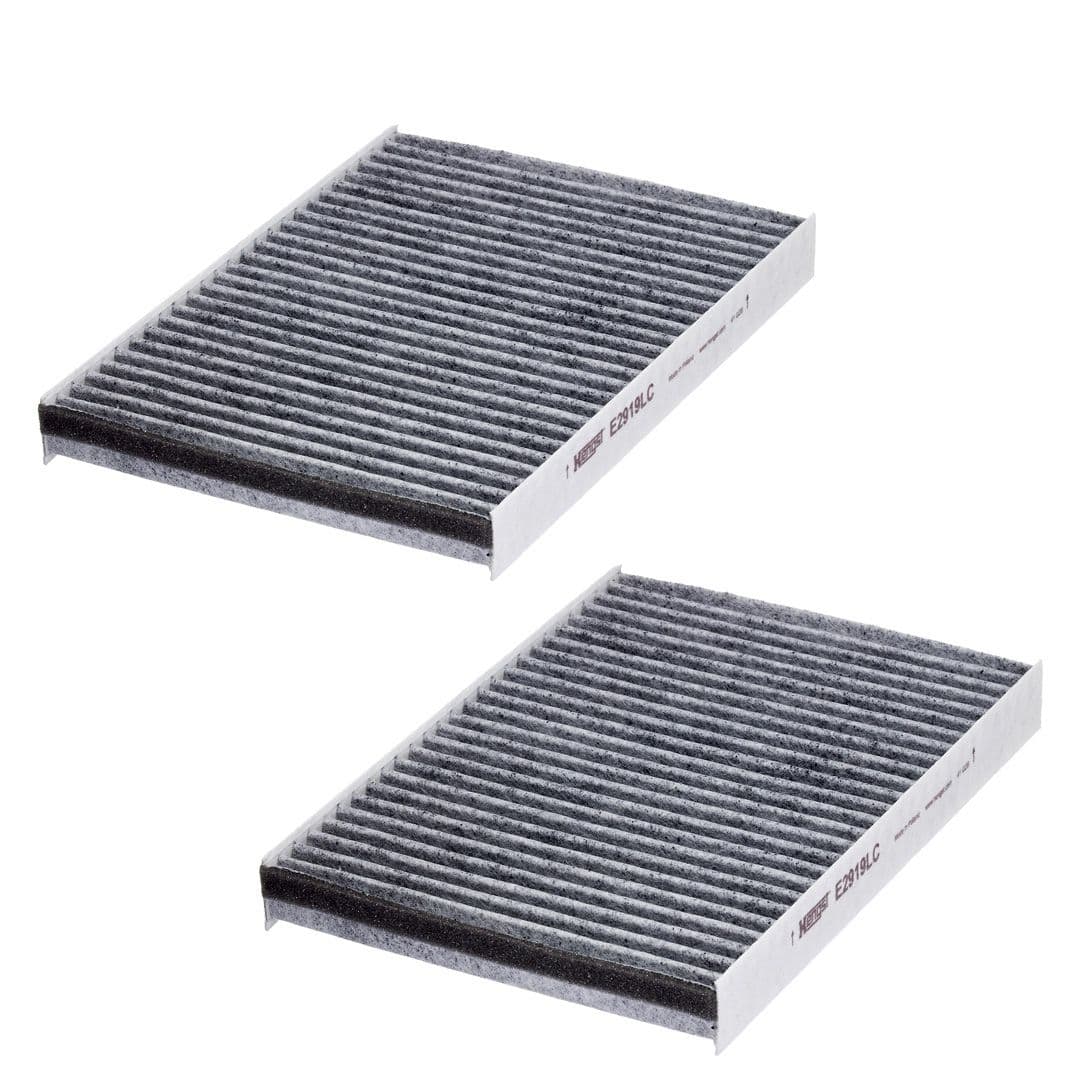 Filtru, aer habitaclu HENGST FILTER E2919LC-2
