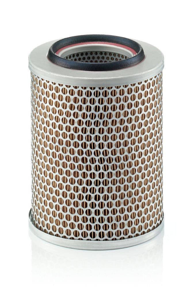Filtru aer MANN-FILTER C 17 160