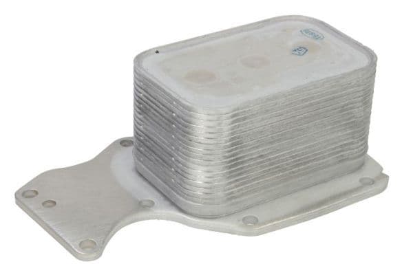 Radiator ulei, ulei motor THERMOTEC D4B031TT