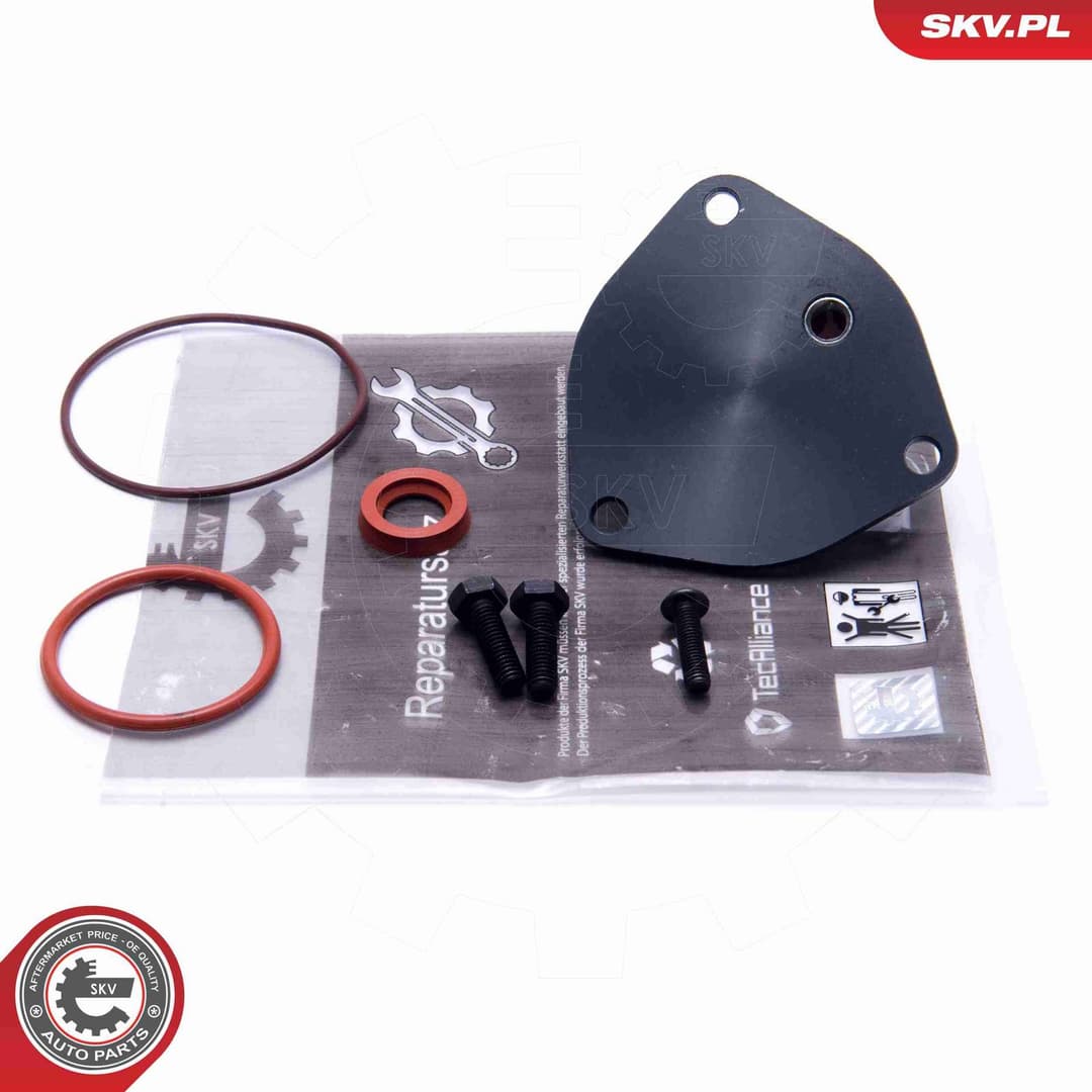 Set reparatie, pompa vacuum (Siste frana) ESEN SKV 18SKV806