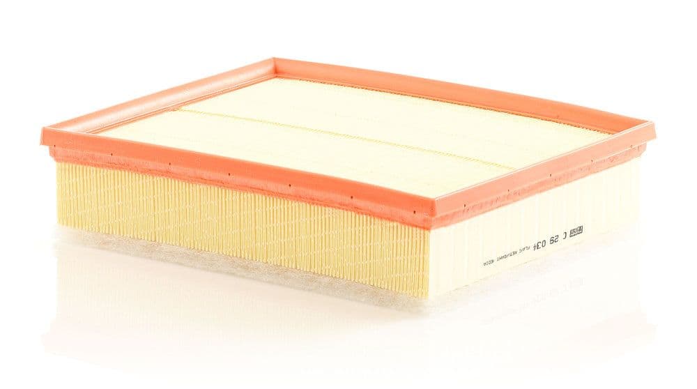 Filtru aer MANN-FILTER C 29 034