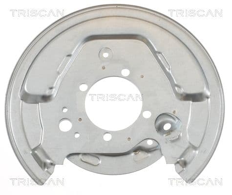 protectie stropire,disc frana TRISCAN 8125 13204