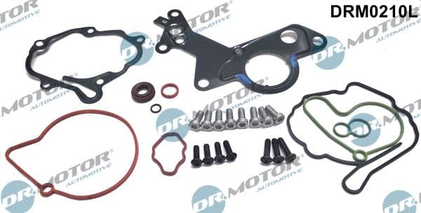 Set reparatie, pompa vacuum (Siste frana) Dr.Motor Automotive DRM0210L