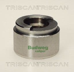 Piston, etrier frana TRISCAN 8170 234201