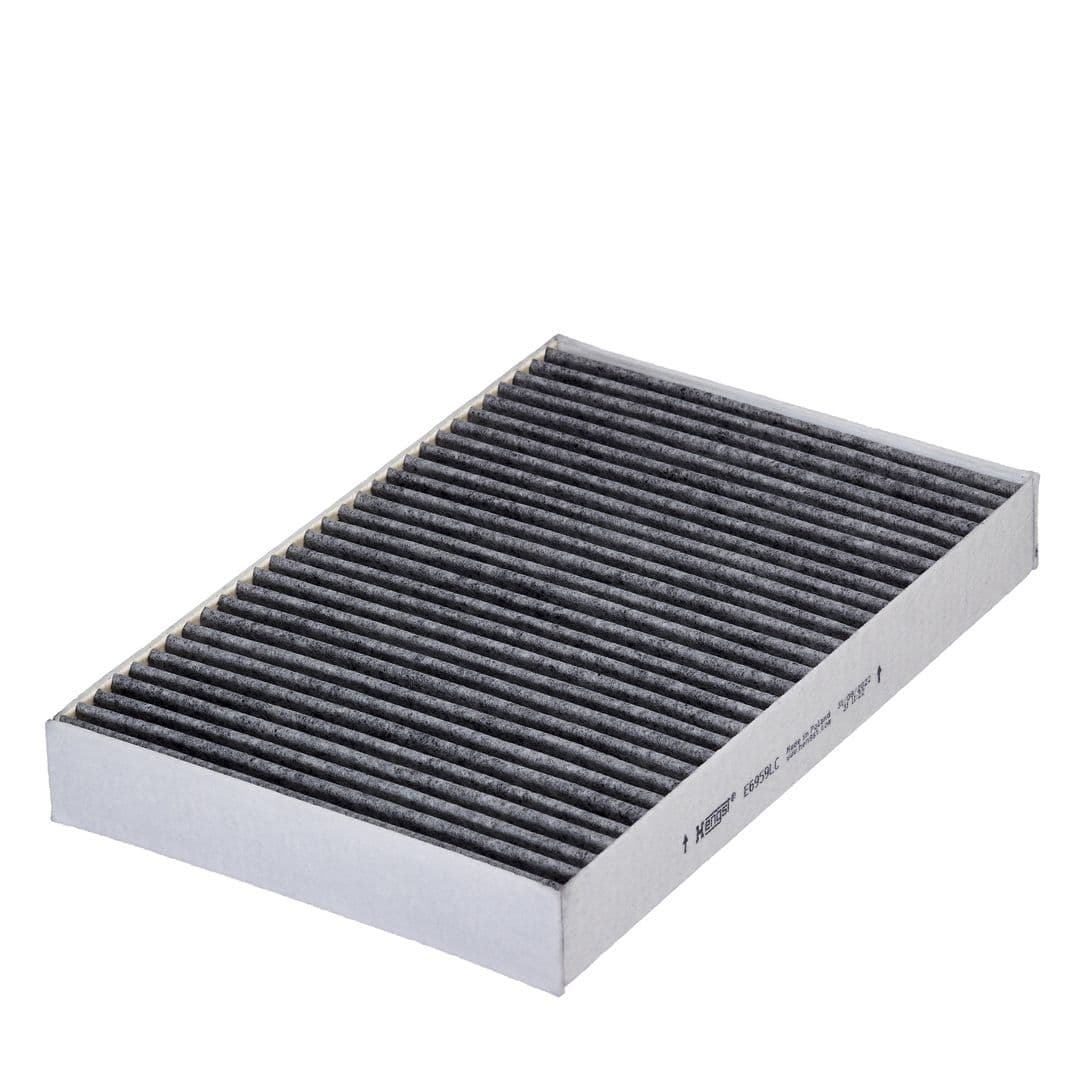 Filtru, aer habitaclu HENGST FILTER E6959LC