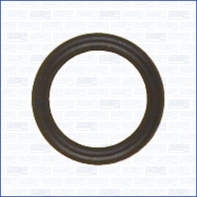 Garnitura, joja ulei AJUSA 16088700