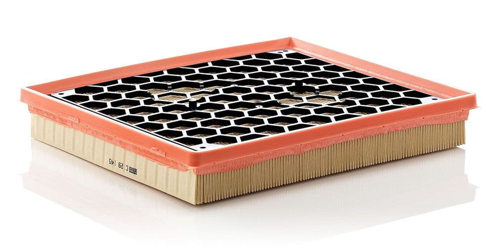 Filtru aer MANN-FILTER C 29 145