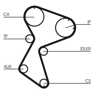 Curea de distributie CONTINENTAL CTAM CT966
