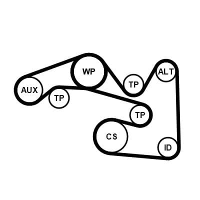 Set curea transmisie cu caneluri CONTINENTAL CTAM 5PK491K1