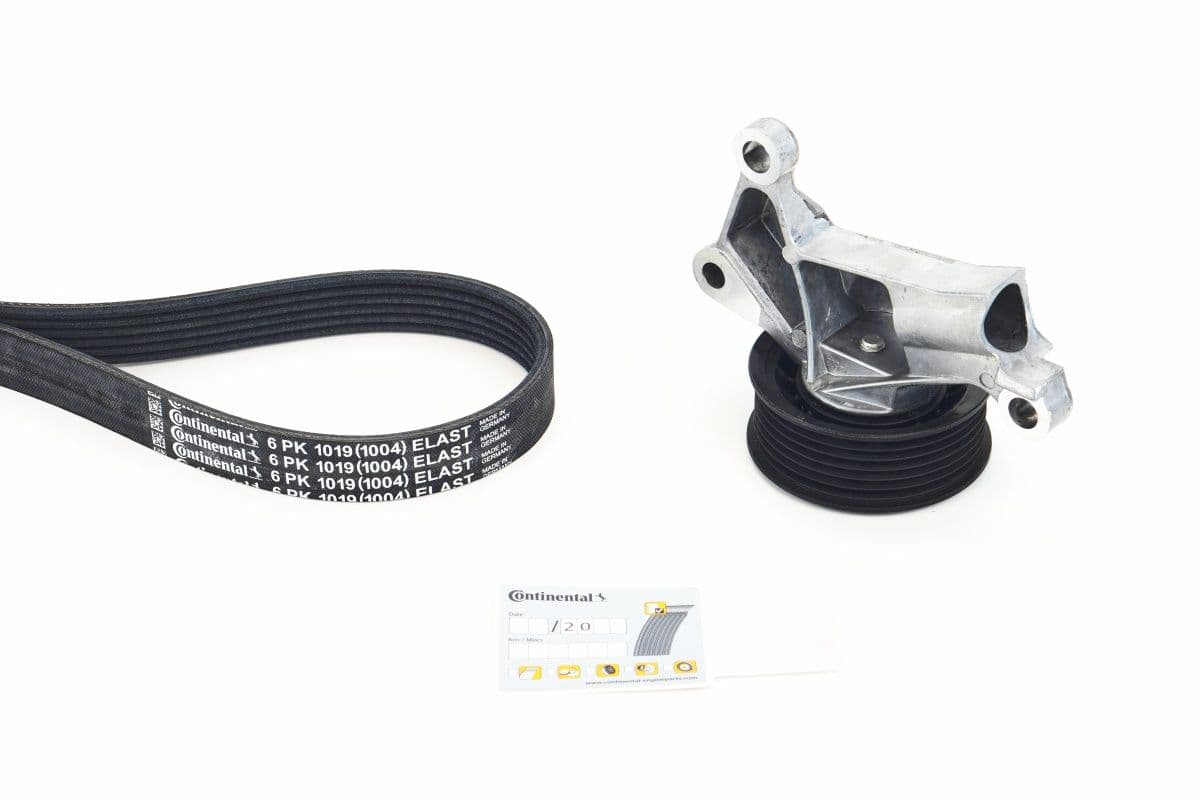 Set curea transmisie cu caneluri CONTINENTAL CTAM 6PK1019 ELAST K1
