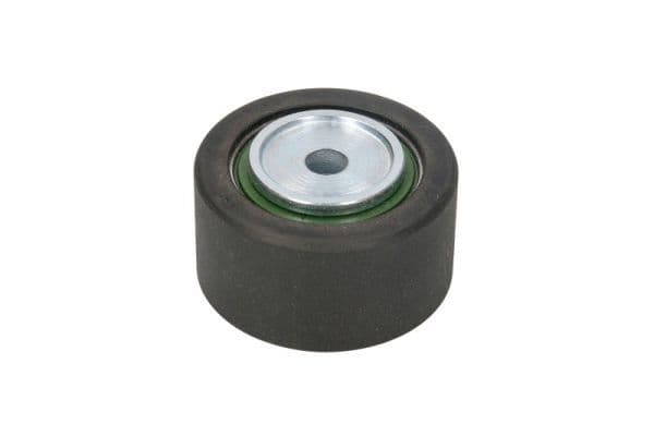 Rola ghidare/conducere, curea transmisie BTA E2P5955BTA