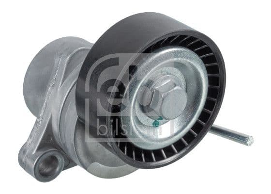 Intinzator curea, curea distributie FEBI BILSTEIN 31076