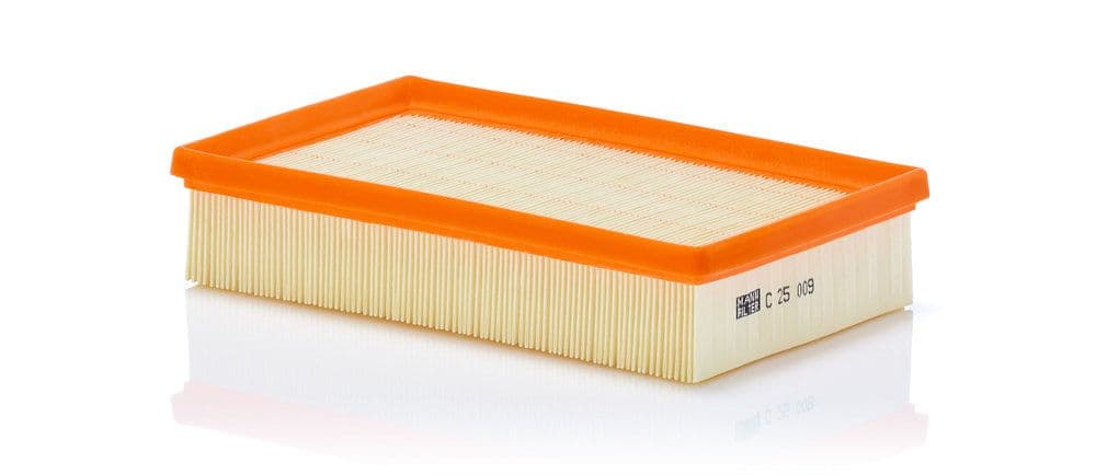Filtru aer MANN-FILTER C 25 009