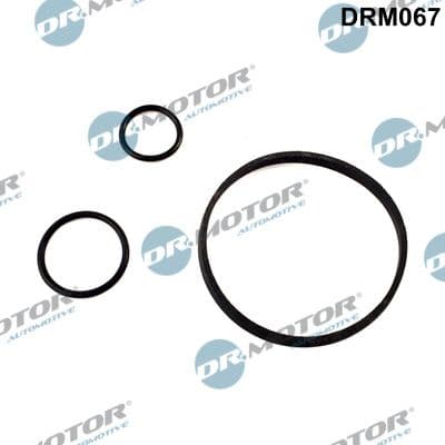 Garnituri, carcasa filtru ulei Dr.Motor Automotive DRM067