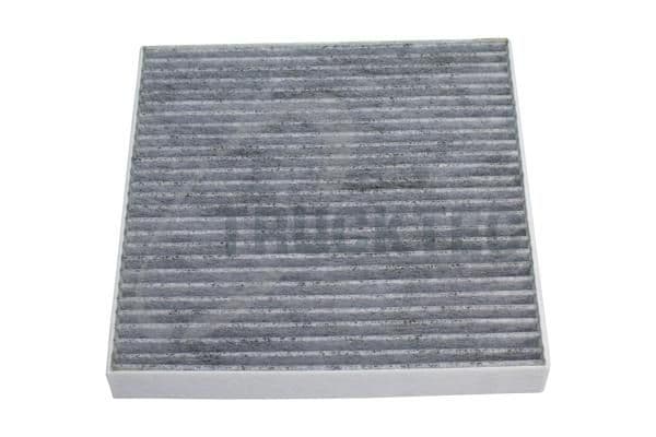 Filtru, aer habitaclu TRUCKTEC AUTOMOTIVE 02.59.149