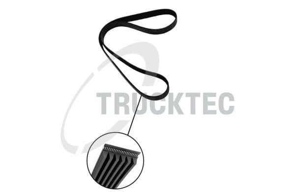 Curea transmisie cu caneluri TRUCKTEC AUTOMOTIVE 08.19.276