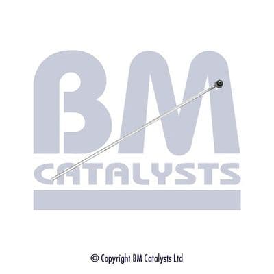 Conducta de presiune, senzor de presiune (filtru particule) BM CATALYSTS PP11174A