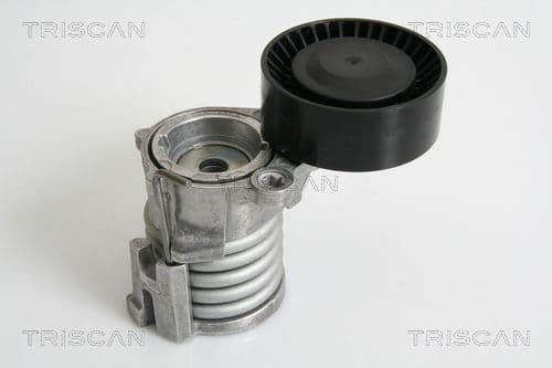 Intinzator curea, curea distributie TRISCAN 8641 293025