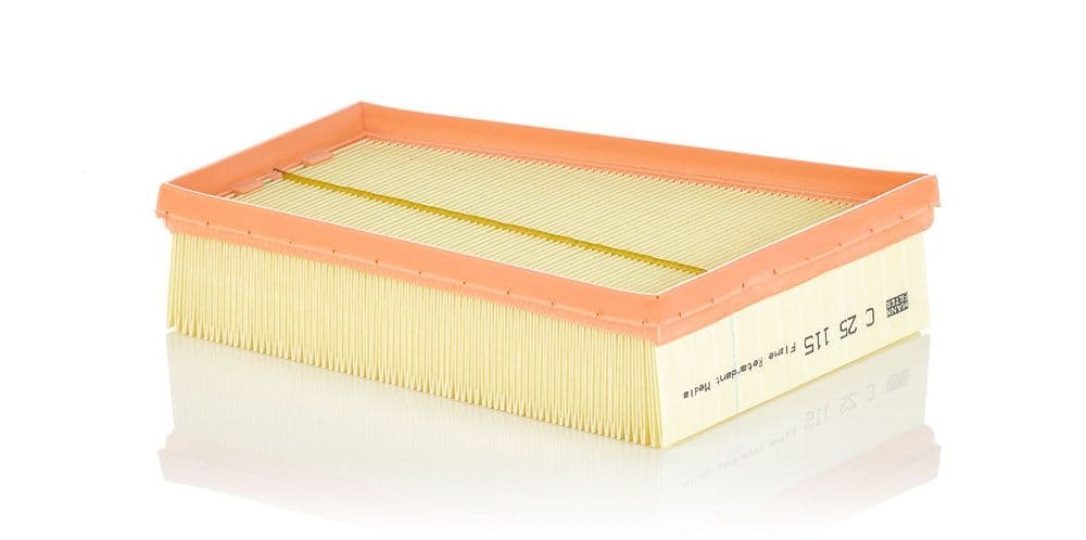 Filtru aer MANN-FILTER C 25 115