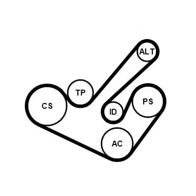 Set curea transmisie cu caneluri CONTINENTAL CTAM 6PK1555K9