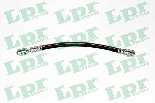Furtun frana LPR 6T48317