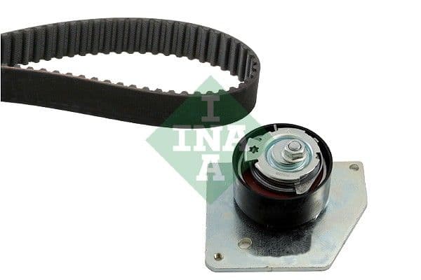 Set curea de distributie Schaeffler INA 530 0579 10