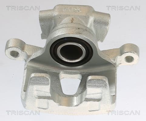 Etrier frana TRISCAN 8175 10214