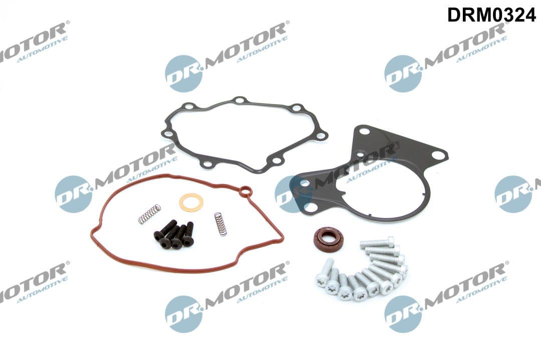 Set reparatie, pompa vacuum (Siste frana) Dr.Motor Automotive DRM0324