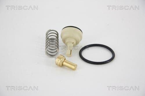 termostat,lichid racire TRISCAN 8620 34487