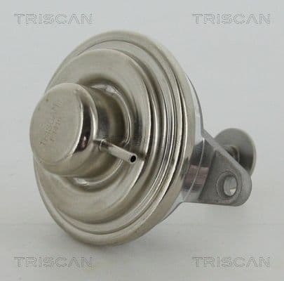 Supapa EGR TRISCAN 8813 24054