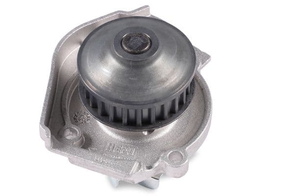Pompă de apă, răcire motor HEPU P1064