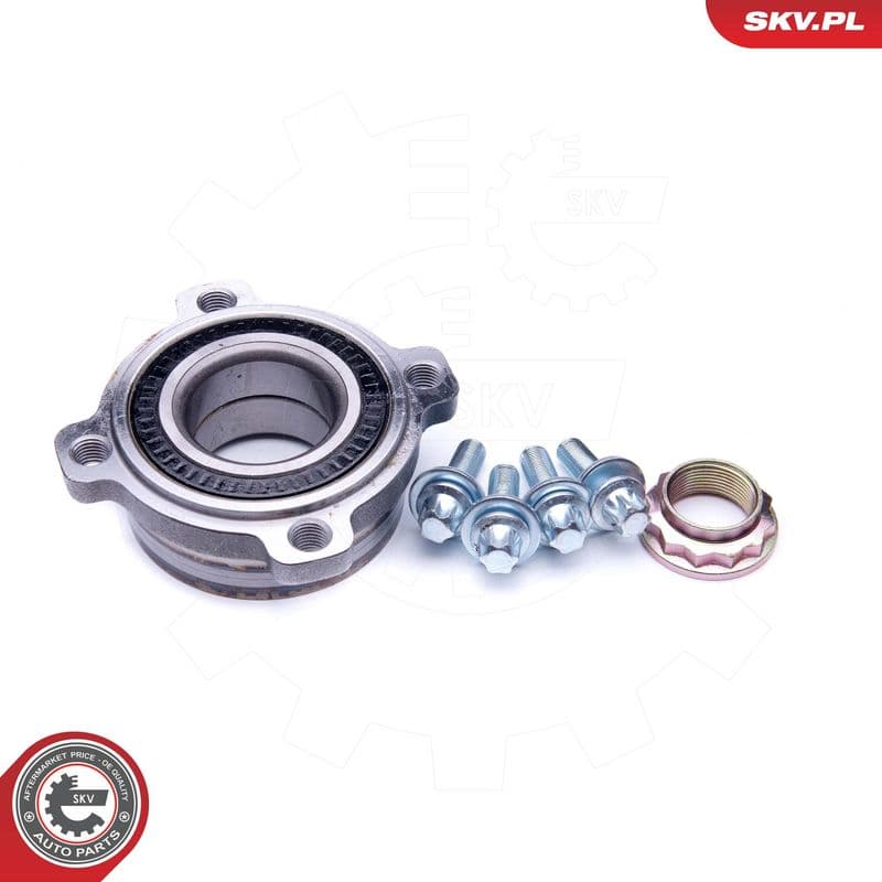 Set rulment roata ESEN SKV 29SKV202