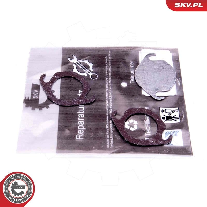 Set de reparație, supapă AGR ESEN SKV 14SKV540