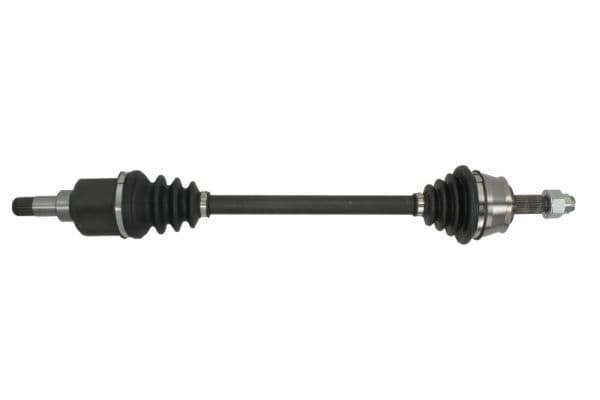 Planetara PASCAL G2C098PC