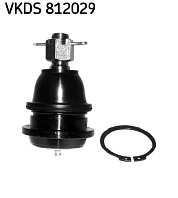 Pivot SKF VKDS 812029