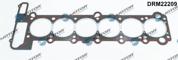 Garnitura, chiulasa Dr.Motor Automotive DRM22209