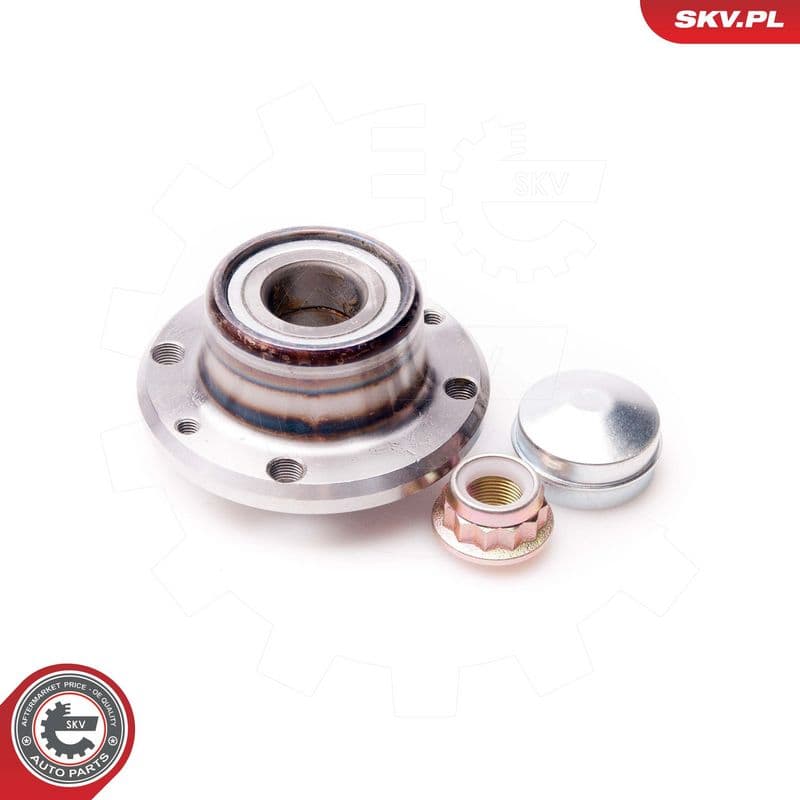 Set rulment roata ESEN SKV 29SKV075