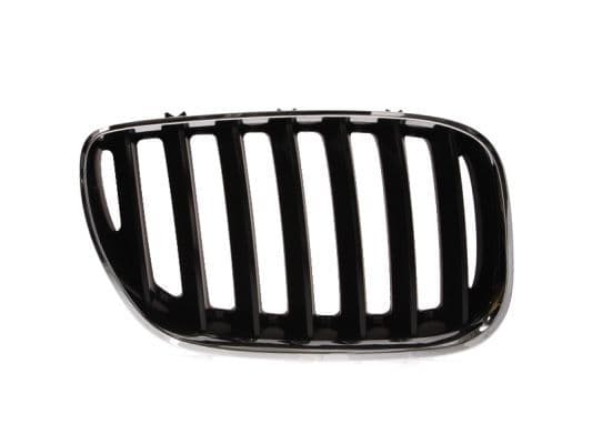 Grila radiator BLIC 6502-07-0095996P